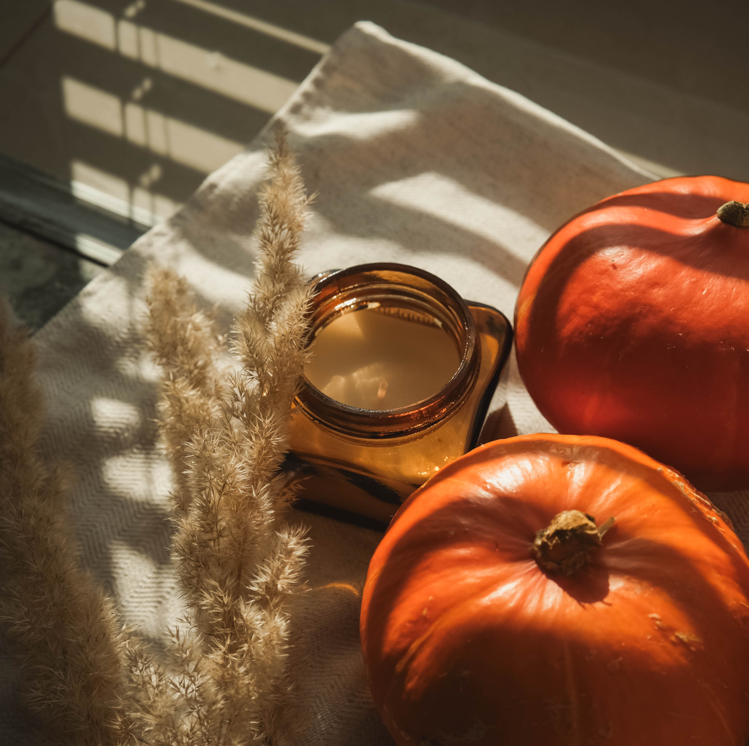 immuunsysteem pompoen teddah herfst