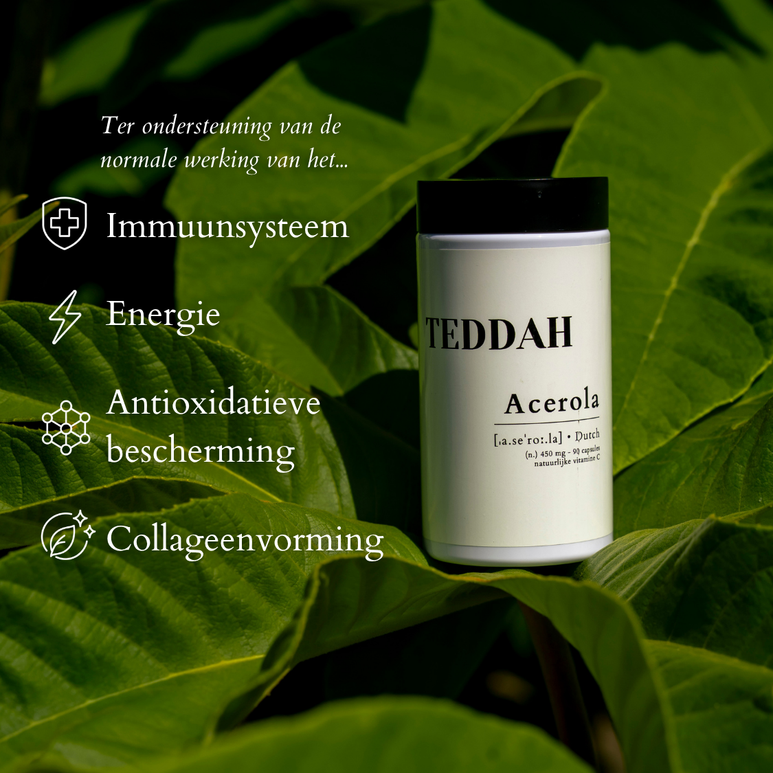 Acerola - Natuurlijke Vitamine C