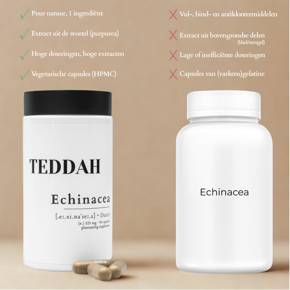 Echinacea