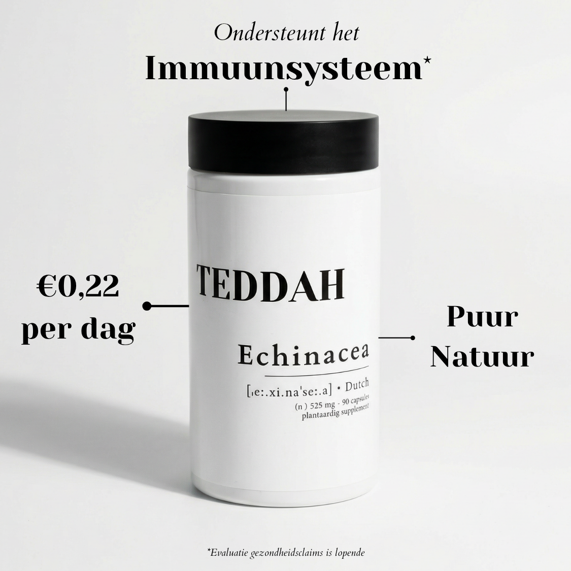 Echinacea