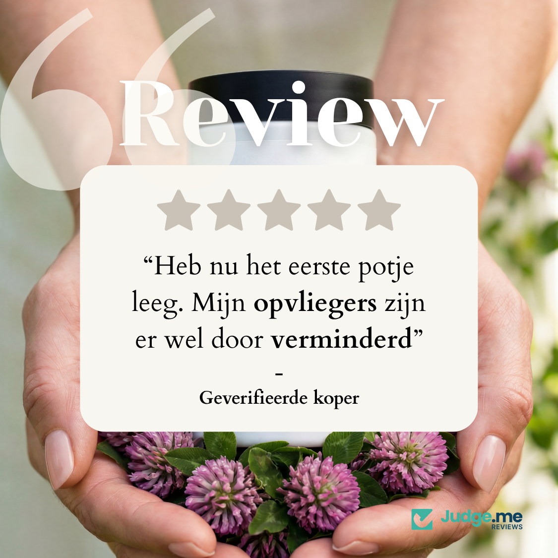Rode Klaver