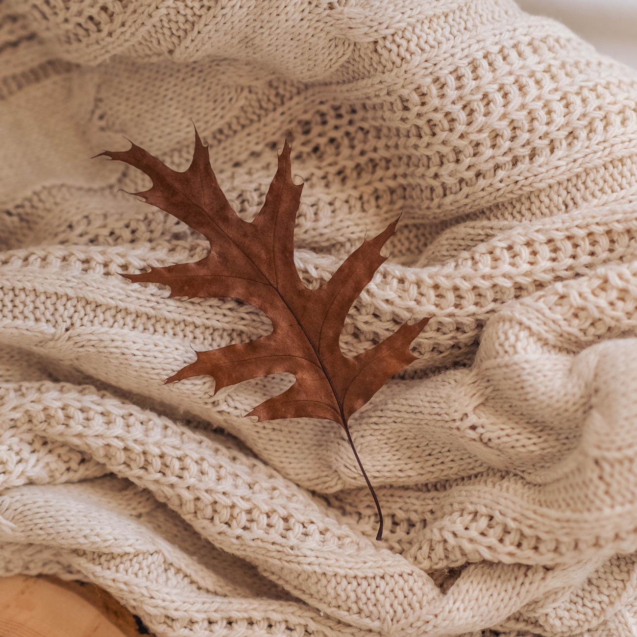 Herfst routine voor weerstand versterken met natuurlijke supplementen — warme sfeer met thee, trui en TEDDAH vitamines voor energie en immuunsysteem.