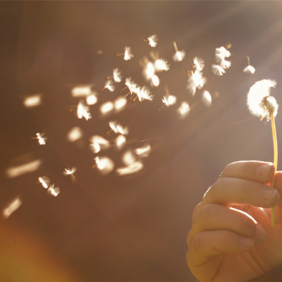 5 natuurlijke tips wanneer de pollen in de lucht vliegen