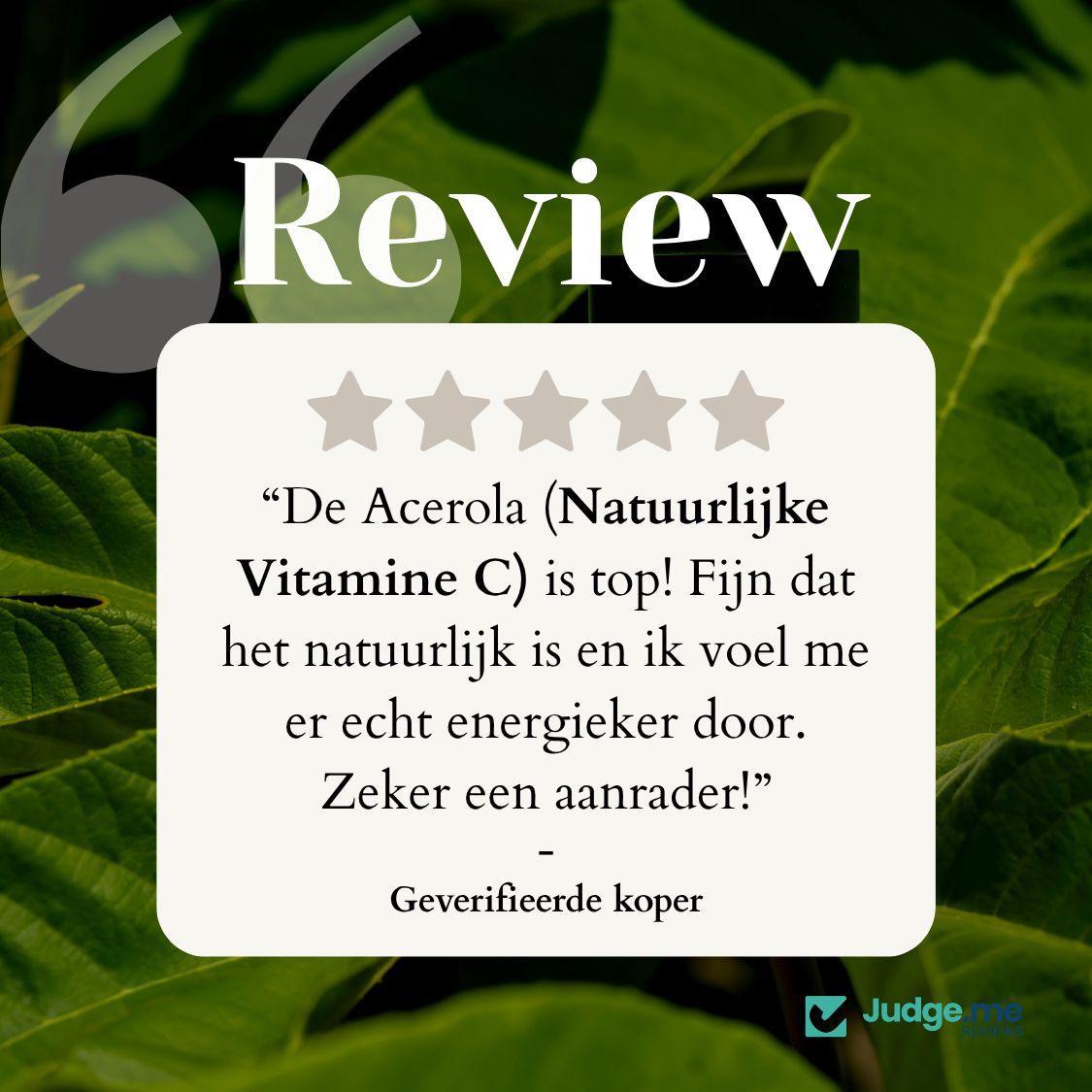 Acerola - Natuurlijke Vitamine C