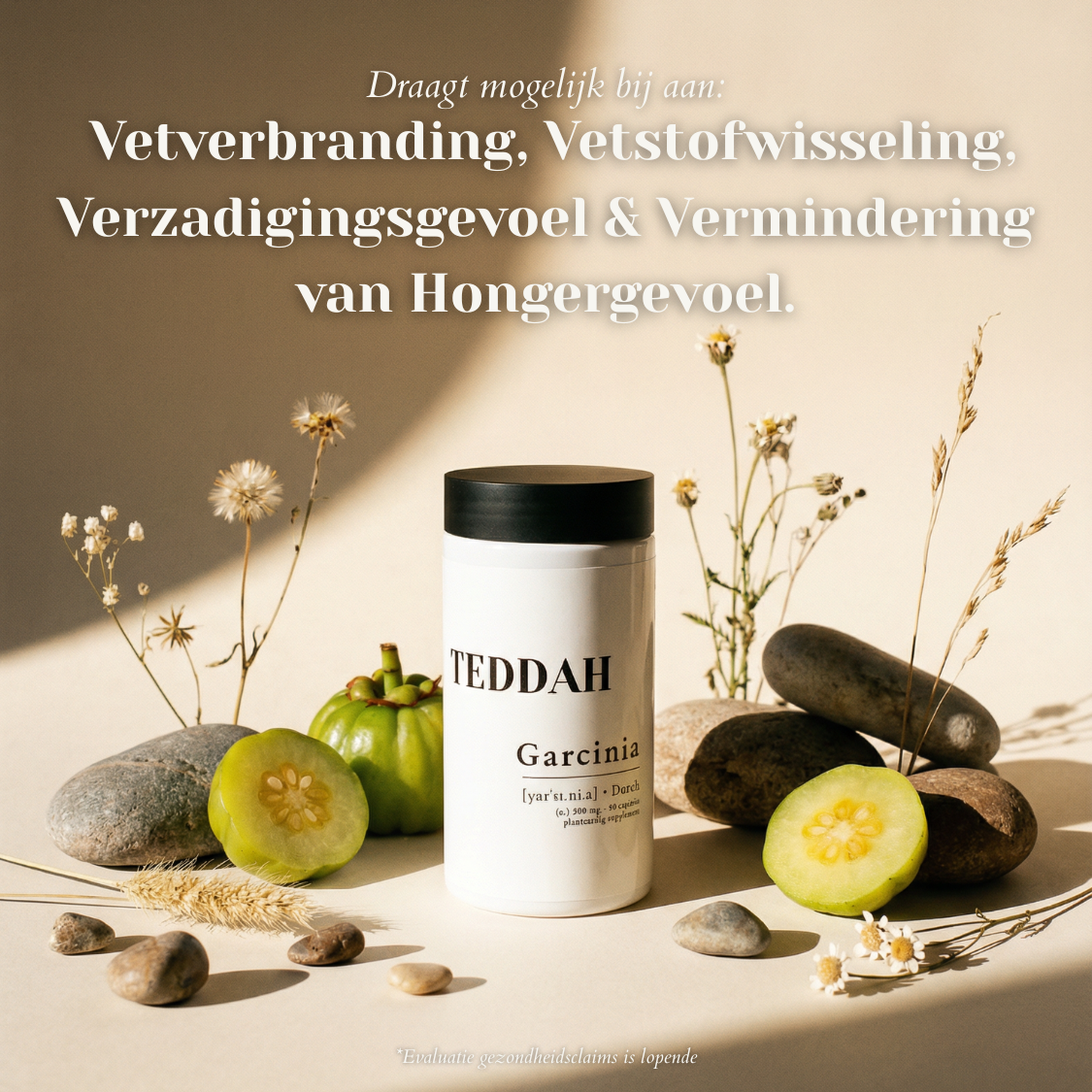 Garcinia Cambogia